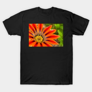 Gazania T-Shirt